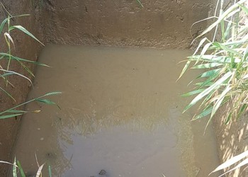 Fosse inondée, empêchant le relevé pédologique