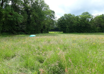 Fosse pédologique au milieu d’une prairie grasse