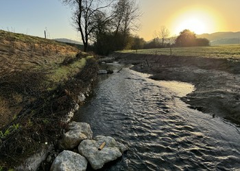 Stabilisation de la berge droite et déplacement du lit de l’Allaine au bord de la route cantonale à Miécourt (commune de la Baroche) (JU)