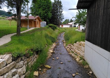 Etat réalisé (juin 2024) – La Pran : reprise de la végétation six mois après les travaux et le cours d’eau se crée un écoulement préférentiel