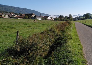 Etat initial (septembre 2023) – La Betteratte : le cours d’eau a peu d’espace et longe la route