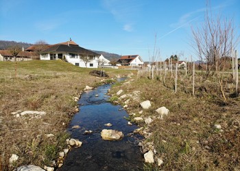 Etat réalisé (mars 2025) – La Betteratte : 1 an et demi après les travaux, le cours d’eau a désormais plus de place et la connectivité latérale est améliorée