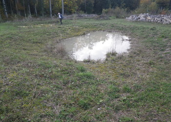 Etat réalisé (octobre 2012) – 3 ans après travaux, mares sur le passage à faune supérieur du Bos d’Estai