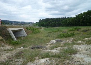 Etat réalisé (mai 2011) – 4 ans après travaux du passage à faune inférieur des Essapeux