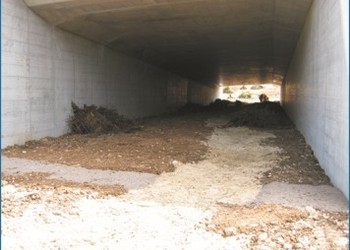 Travaux (mai 2007) – Construction du passage à faune inférieur des Essapeux, bien avant la construction de l’autoroute.