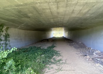 Etat réalisé (août 2024) – 17 ans après travaux du passage à faune inférieur des Essapeux. Le passage est resté minéral et la végétation se trouve uniquement aux extrémités