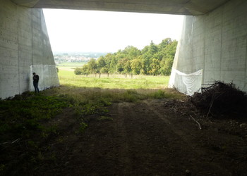 Etat réalisé (septembre 2014) – 7 ans après travaux du passage à faune inférieur des Essapeux. L’ampleur du passage est visible comparé la taille humaine