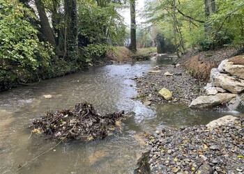 Etat réalisé (octobre 2024) – Les terrasses et souches misent en place permettent de diversifier les écoulements, créant ainsi des radiers et des surprofondeurs, augmentant l’habitabilité du milieu aquatique tout en garantissant une profondeur d’eau suffisante à l’étiage.