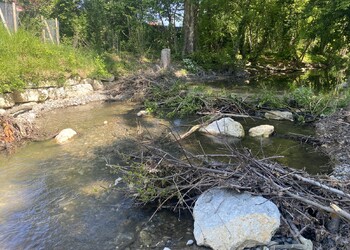 Etat réalisé (avril 2025) – 6 mois après la fin des travaux. La rivière se dynamise avec l’action du castor, améliorant l’habitabilité du lit et de ses berges.