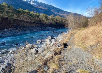 Etat initial (janvier 2025) – érosion de la berge le long d’un sentier pédestre faisant également office d’accès pour l’entretien en rive droite du Rhône