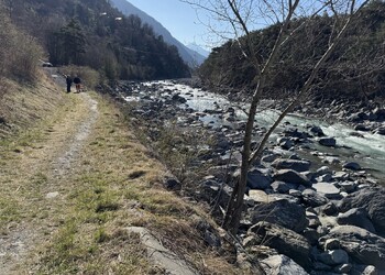 Etat initial (mars 2025) – secteur d’intervention en rive droite du Rhône
