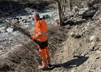 Travaux (avril 2025) – Mise en place des lits de plants et plançons