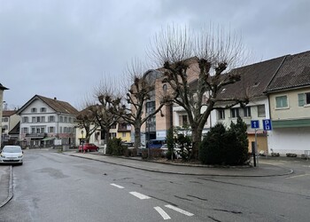 Etat initial (février 2022) – ilots de végétation non indigène et gabarit routier surdimensionné par rapport au régime de vitesse (20 km/h) générant un ilot de chaleur