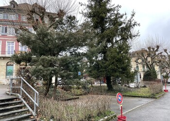 Etat initial (février 2022) – ilots de végétation en grande majorité non indigène