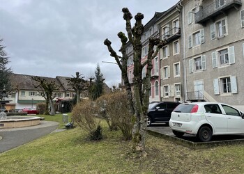 Etat initial (février 2022) – parc du Pré de l’Etang jouxtant la place des Bennelats, à entretien intensif et arborisation non indigène et taillée en tête de chat