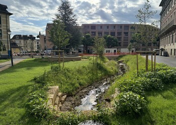 Etat réalisé (juillet 2024) – Mise à ciel ouvert d’une résurgence d’un cours d’eau karstique (L’Ajoulote) à travers le parc du Pré de l’Etang