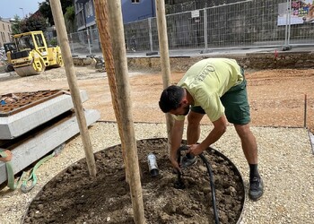 Travaux (juin 2024) – Création de fosses de plantation connectées entre elles avec apport de substrat améliorant la capacité de rétention en eau (biochar) et mise en place d’un tube d’arrosage
