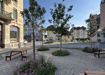 Etat réalisé (mai 2025) – Apport d’ombrage naturel sur les placettes par la plantation de grands arbres adaptés aux changements climatiques