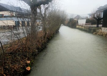 Entretien (janvier 2025) – Coupe de frênes secs menaçant la stabilité de la berge à Bassecourt