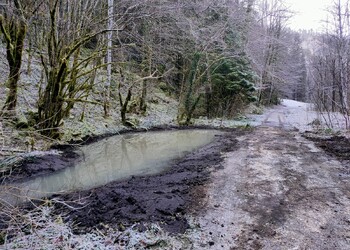 Suivi de la mise en oeuvre du plan d'entretien des cours d'eau et plans d'eau de la commune de Haute - Sorne (JU)