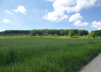 Vue sur un secteur de verger