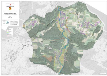 Plan des éléments Nature-Paysage du PAL après révision