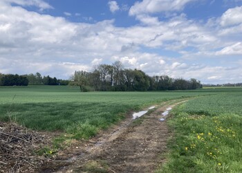 Parcelle agricole traversée par la conduite souterraine du Motélon