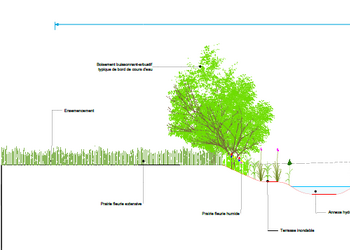 Profil en travers des aménagements proposés dans la zone de biodiversité