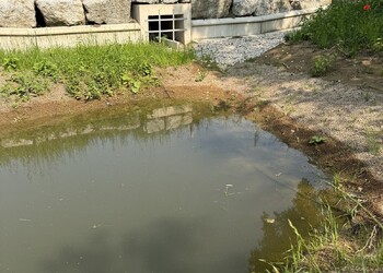 Biotope et crapauduc (juin 2025)