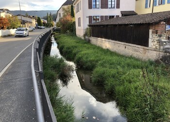 Etat initial (octobre 2018) – le Bacavoine avant la création d’épis. Le gabarit du cours d’eau est réduit et limité par la végétation herbacée