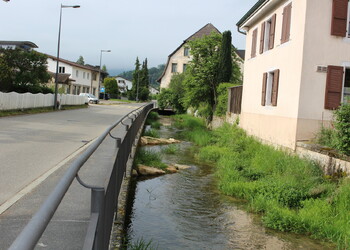 Protection contre les crues - création d'épis dans le Bacavoine à Porrentruy (JU)