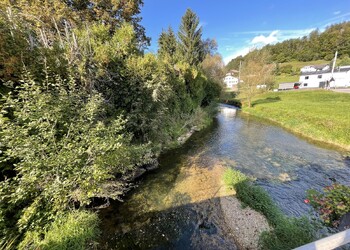 Etat initial (septembre 2021) – vue depuis le pont en direction de l’aval