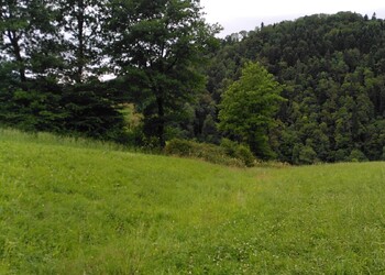 Etat initial (juin 2022) – Tronçon enterré du ruisseau