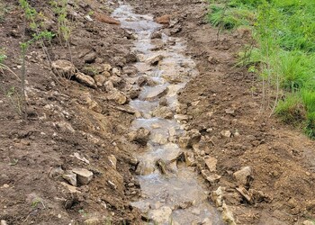 remise à ciel ouvert du ruisseau de Pré-Bouvier à Montmelon (commune de Clos du Doubs) (JU)