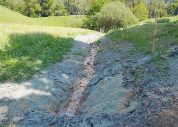 Travaux (mai 2025) – Ensemencement et plantations