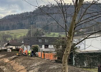 Travaux (décembre 2025) – Aménagement d’une berge en pente douce et discussion avec les riverains pour les finitions et les choix de végétalisation (selon liste d’espèces indigènes et adaptées)