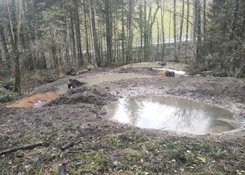 Etat réalisé (février 2026) – Mares en cascade dans la forêt de Gentie Pran à Delémont