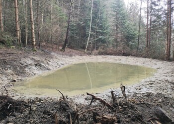 Etat réalisé (février 2026) – Mare forestière dans la forêt de Gentie Pran à Delémont