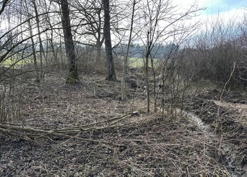 Etat initial (février 2025) – Forêt au bord du ruisseau de la Betteratte à Develier