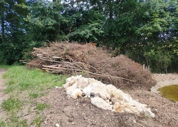 Etat réalisé (août 2025) – Tas de branches et murgier au bord de la mare à Develier