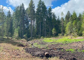 Etat initial (septembre 2025) – Vue du drain depuis l’amont avant la construction des palissades et du comblement.