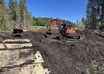 Revitalisation du haut-marais d’importance nationale de la Gruère à Saignelégier (JU)
