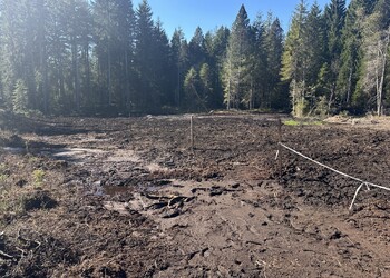 Etat réalisé (octobre 2025) – Vue du secteur en fin de chantier, les surfaces travaillées seront progressivement recolonisées naturellement par les plantes typiques du marais.
