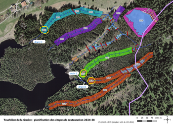 Plan général des étapes de revitalisation de la tourbière. Les secteurs concernés sont entourés en jaune.