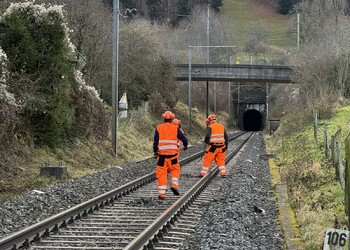 Travaux (décembre 2025) – mise en place de déflecteurs répartis régulièrement le long du linéaire identifié comme problématique