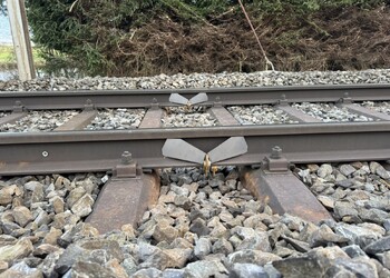 Etat réalisé (décembre 2025) – l’espace sans ballast situé directement sous les déflecteurs permet de canaliser les amphibiens se déplaçant le long des voies vers un passage sous les rails, facilitant ainsi leur traversée en toute sécurité