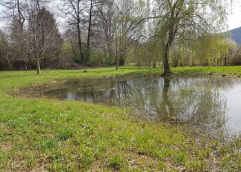 Etangs privés du site IBN Les Esserts