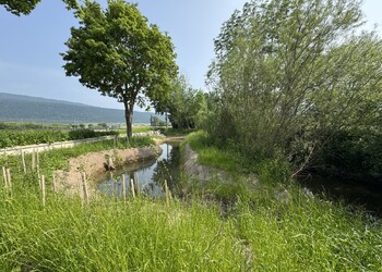 Création de zones humides - mares