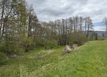 Réserve naturelle Pro Natura 'L'Etaple'