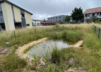 Etang aménagé